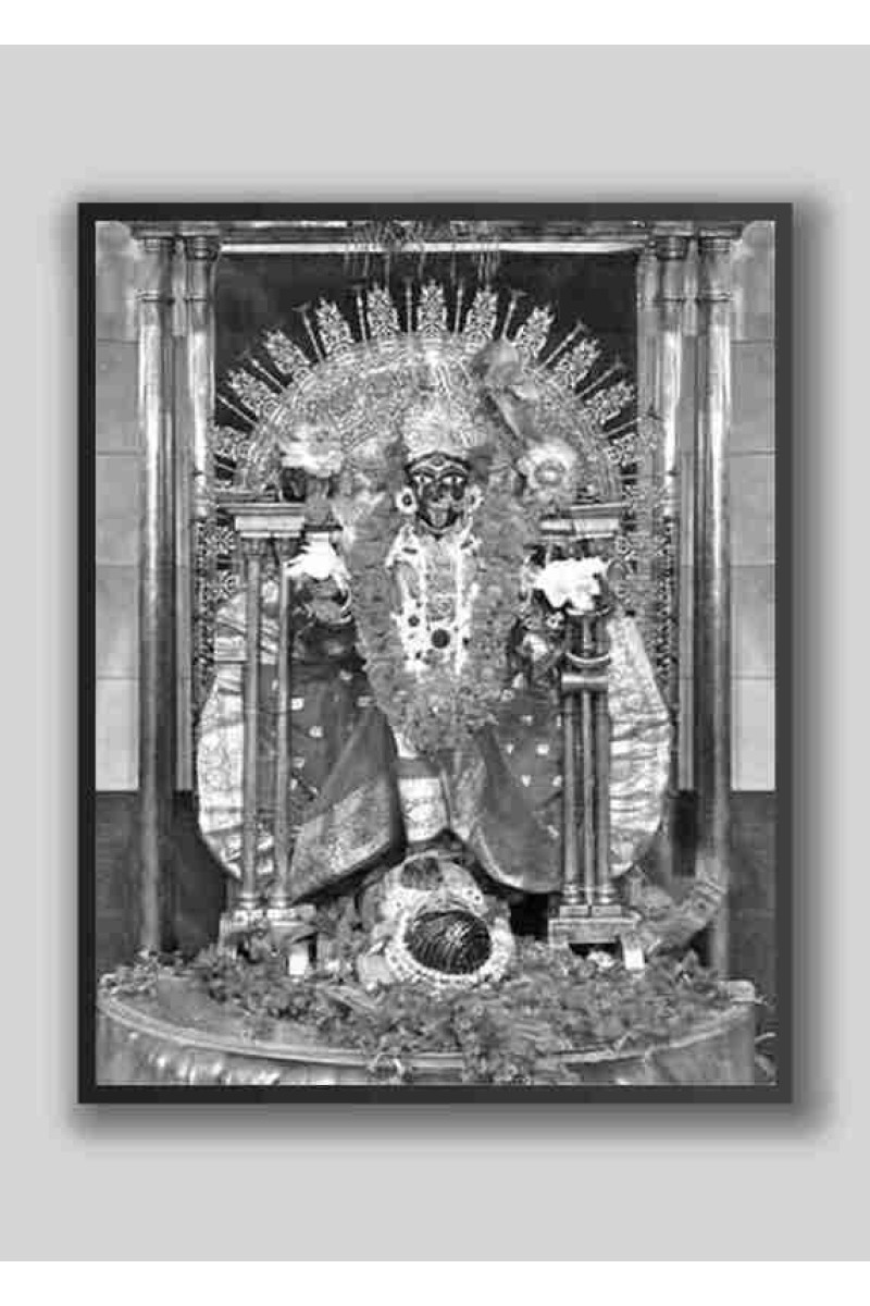 HI Tech Sales KALI MATA BHABATARINI Laminated Photo, MA BHABATARINI