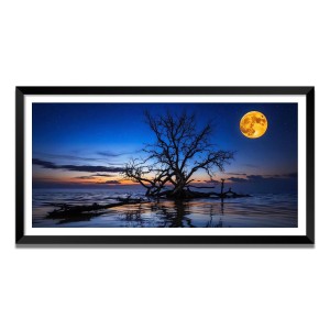 Nature Landscape Floating Frame Scenery Digital Print - (I5572) - 18x36 inch Modern Nature Wall Art for Living Room, Bedroom, Office, Hotels, Drawing Room Nature Landscape Floating Frame Scenery Digital Print - (I5572) - 18x36 inch Modern Nature Wall Art for Living Room, Bedroom, Office, Hotels, Drawing Room