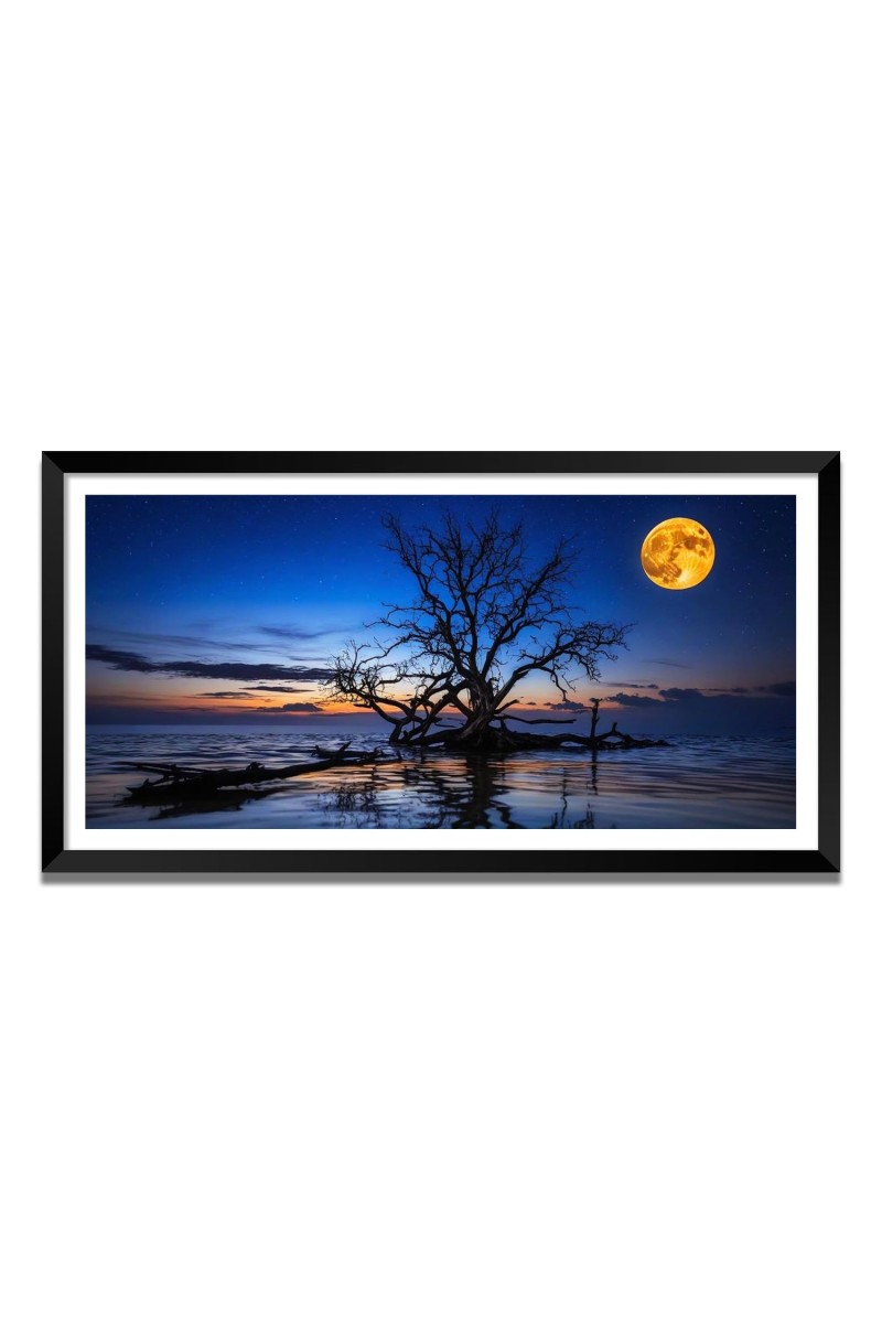 Nature Landscape Floating Frame Scenery Digital Print - (I5572) - 18x36 inch Modern Nature Wall Art for Living Room, Bedroom, Office, Hotels, Drawing Room