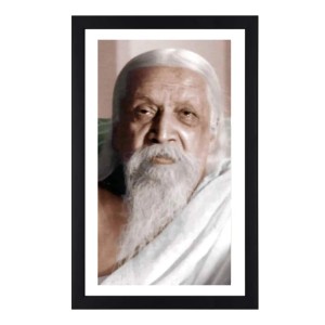 Rishi Aurobindo Old Age Black and white Photograph |Classic Spiritual Wall Art