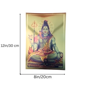 Golden Foil Hindu God Photo (set of 10) | Gold Plated Religious Wall Decor | Pooja Room Mandir Decoration | Gift for Diwali, Housewarming & Festivals (8x12)