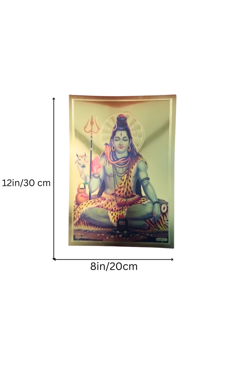 Golden Foil Hindu God Photo (set of 10) | Gold Plated Religious Wall Decor | Pooja Room Mandir Decoration | Gift for Diwali, Housewarming & Festivals (8x12)