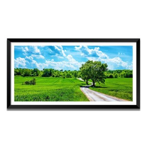 Nature Landscape Floating Frame Scenery Digital Print - (I5827) - 24x36 inch Modern Nature Wall Art for Living Room, Bedroom, Office, Hotels, Drawing Room