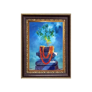 Sri Tulsi Maa Digital Print Photo 6.7x8.7 inches - Vibrant Religious Wall Art for Home, Office and Temple Decor.