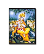 Krishna Laminated Photo - 5x7 Inches, Divine Blessings for Home & Office and Temple Decoration