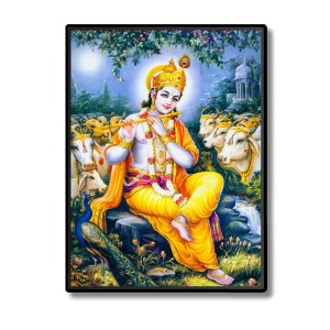Krishna Laminated Photo - 5x7 Inches, Divine Blessings for Home & Office and Temple Decoration