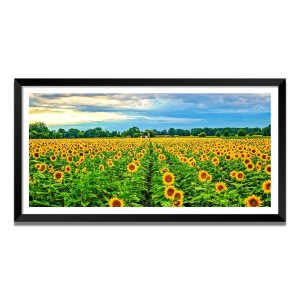 Nature Landscape Floating Frame Scenery Digital Print - (I5803) - 18x36 inch Modern Nature Wall Art for Living Room, Bedroom, Office, Hotels, Drawing Room