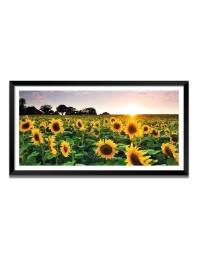 Nature Landscape Floating Frame Scenery Digital Print - (I5619) - 12x24 inch Modern Nature Wall Art for Living Room, Bedroom, Office, Hotels, Drawing Room