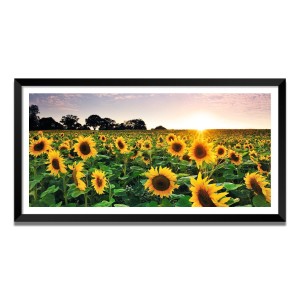 Nature Landscape Floating Frame Scenery Digital Print - (I5619) - 12x24 inch Modern Nature Wall Art for Living Room, Bedroom, Office, Hotels, Drawing Room