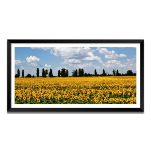 Nature Landscape Floating Frame Scenery Digital Print - (I5569) - 24x36 inch Modern Nature Wall Art for Living Room, Bedroom, Office, Hotels, Drawing Room Nature Landscape Floating Frame Scenery Digital Print - (I5569) - 24x36 inch Modern Nature Wall Art for Living Room, Bedroom, Office, Hotels, Drawing Room