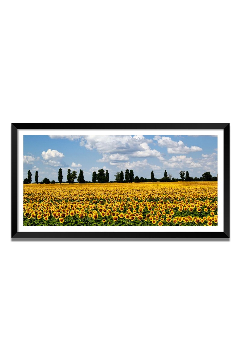 Nature Landscape Floating Frame Scenery Digital Print - (I5569) - 24x36 inch Modern Nature Wall Art for Living Room, Bedroom, Office, Hotels, Drawing Room