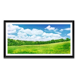 Nature Landscape Floating Frame Scenery Digital Print - (I5731) - 24x48 inch Modern Nature Wall Art for Living Room, Bedroom, Office, Hotels, Drawing Room