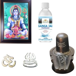 Combo of Lord Shiva with Shivling LED Photo Frame 12x18 Inch | Includes 2 Tilak Stamps, 200 ML Ganga Jal & 3-Inch Lord Shiva Shivalingam Murti Combo of Lord Shiva with Shivling LED Photo Frame 12x18 Inch | Includes 2 Tilak Stamps, 200 ML Ganga Jal & 3-Inch Lord Shiva Shivalingam Murti