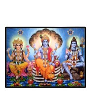 Lord Vishnu Shankar Mahesh Laminated Photo - 7x9 Inches, Divine Blessings For Home & Office And Temple Decoration (F16118)