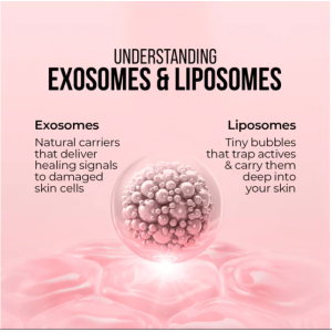 Cica Exosomes & Vitamin C Glow Serum - 30ml