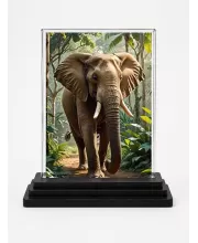Elephant Acrylic Car Dashboard Showpiece | Double-Sided Elephant Photo Stand | 3 X 4 Inch Photo | Transparent Acrylic Frame With Black Base | Car Dashboard, Office & Table Decor (F71493)