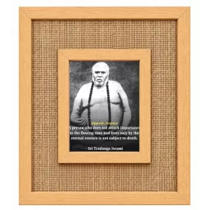 Trailanga Swami Laminated Jute Wall Photo Frame, 14 X 16 Inch (F174747) Trailanga Swami Laminated Jute Wall Photo Frame, 14 X 16 Inch (F174747)