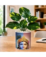 Artificial Tree Ceramic Photo Pot With White Stones 3x4 Inch (F164472) Artificial Tree Ceramic Photo Pot With White Stones 3x4 Inch (F164472)