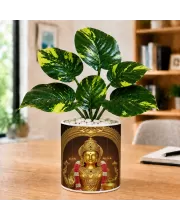 Artificial Tree Ceramic Photo Pot With White Stones 3x4 Inch (F164477) Artificial Tree Ceramic Photo Pot With White Stones 3x4 Inch (F164477)