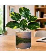 Artificial Tree Ceramic Photo Pot With White Stones 3x4 Inch (F164480) Artificial Tree Ceramic Photo Pot With White Stones 3x4 Inch (F164480)