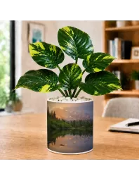 Artificial Tree Ceramic Photo Pot With White Stones 3x4 Inch (F164480)