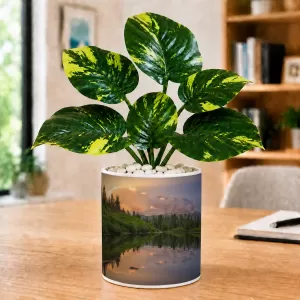 Artificial Tree Ceramic Photo Pot With White Stones 3x4 Inch (F164480) Artificial Tree Ceramic Photo Pot With White Stones 3x4 Inch (F164480)