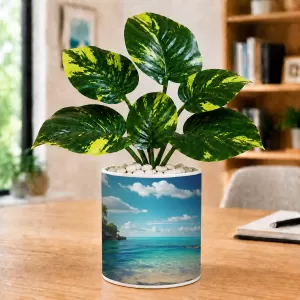 Artificial Tree Ceramic Photo Pot With White Stones 3x4 Inch (F164481) Artificial Tree Ceramic Photo Pot With White Stones 3x4 Inch (F164481)
