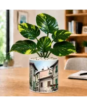 Artificial Tree Ceramic Photo Pot With White Stones 3x4 Inch (F164485) Artificial Tree Ceramic Photo Pot With White Stones 3x4 Inch (F164485)