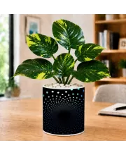 Artificial Tree Ceramic Photo Pot With White Stones 3x4 Inch (F164487)