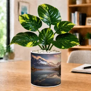 Artificial Tree Ceramic Photo Pot With White Stones 3x4 Inch (F164498) Artificial Tree Ceramic Photo Pot With White Stones 3x4 Inch (F164498)