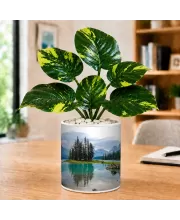 Artificial Tree Ceramic Photo Pot With White Stones 3x4 Inch (F164499)