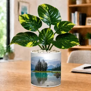 Artificial Tree Ceramic Photo Pot With White Stones 3x4 Inch (F164499) Artificial Tree Ceramic Photo Pot With White Stones 3x4 Inch (F164499)