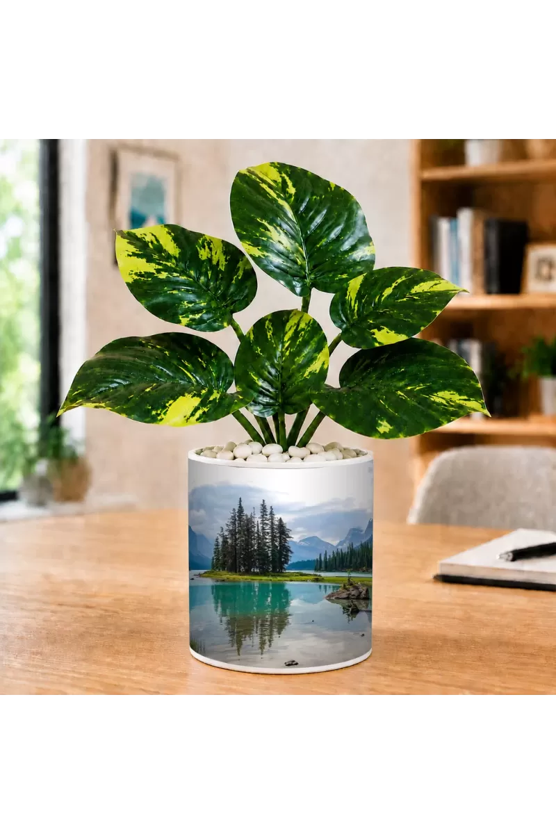 Artificial Tree Ceramic Photo Pot With White Stones 3x4 Inch (F164499)