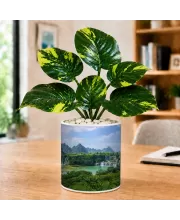 Artificial Tree Ceramic Photo Pot With White Stones 3x4 Inch (F164504)