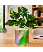 Artificial Tree Ceramic Photo Pot With White Stones 3x4 Inch (F164509)