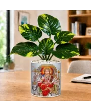 Artificial Tree Ceramic Photo Pot With White Stones 3x4 Inch (F164512)