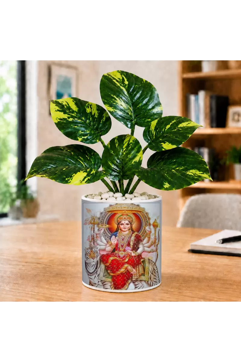 Artificial Tree Ceramic Photo Pot With White Stones 3x4 Inch (F164512)