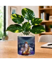 Artificial Tree Ceramic Photo Pot With White Stones 3x4 Inch (F164521)