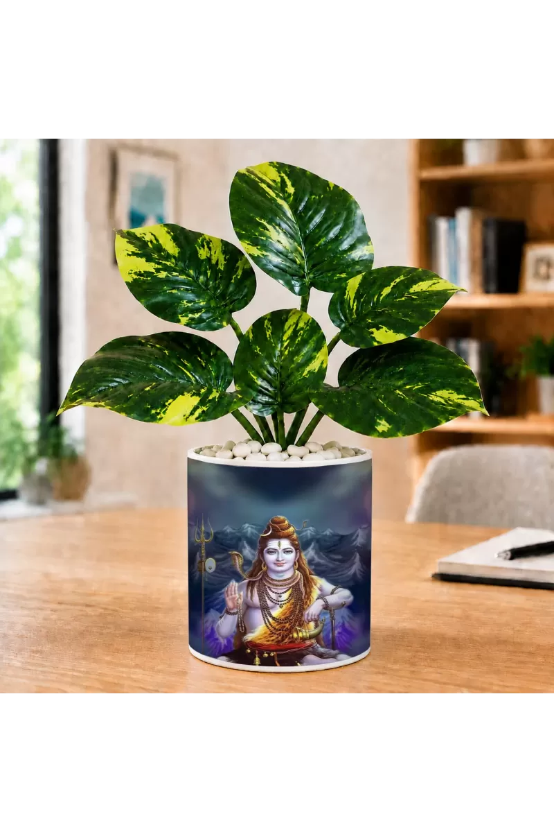 Artificial Tree Ceramic Photo Pot With White Stones 3x4 Inch (F164521)