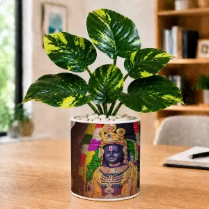 Artificial Tree Ceramic Photo Pot With White Stones 3x4 Inch (F164526) Artificial Tree Ceramic Photo Pot With White Stones 3x4 Inch (F164526)