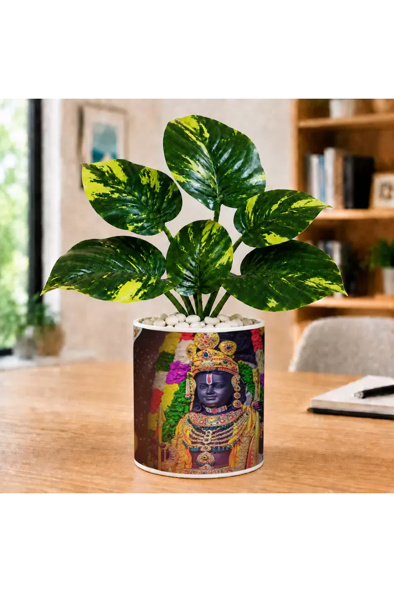 Artificial Tree Ceramic Photo Pot With White Stones 3x4 Inch (F164526)