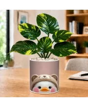 Artificial Tree Ceramic Photo Pot With White Stones 3x4 Inch (F164527)
