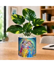 Artificial Tree Ceramic Photo Pot With White Stones 3x4 Inch (F164539)