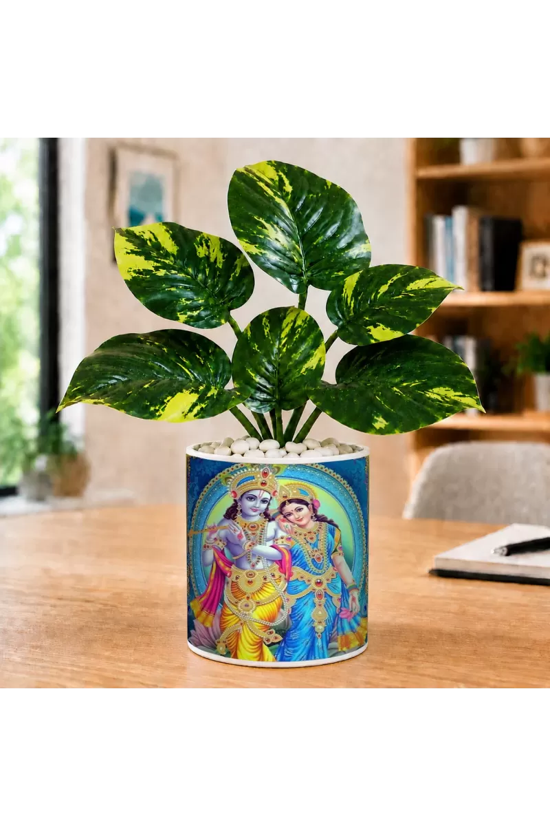 Artificial Tree Ceramic Photo Pot With White Stones 3x4 Inch (F164539)