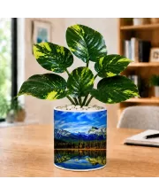 Artificial Tree Ceramic Photo Pot With White Stones 3x4 Inch (F164540)