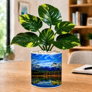 Artificial Tree Ceramic Photo Pot With White Stones 3x4 Inch (F164540) Artificial Tree Ceramic Photo Pot With White Stones 3x4 Inch (F164540)