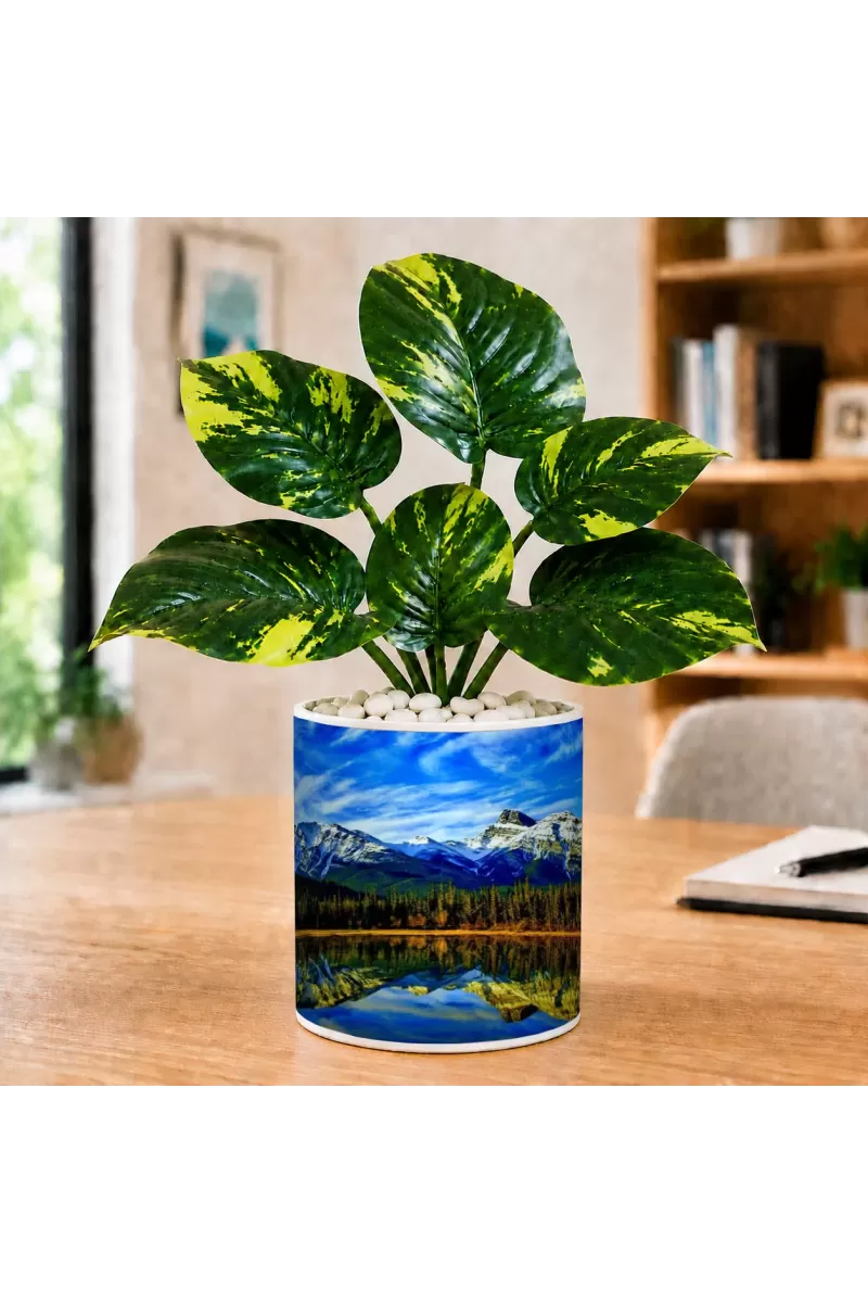 Artificial Tree Ceramic Photo Pot With White Stones 3x4 Inch (F164540)