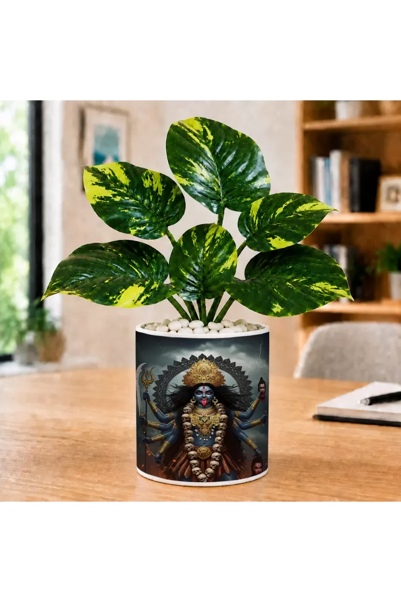 Artificial Tree Ceramic Photo Pot With White Stones 3x4 Inch (F164556)