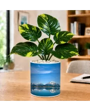 Artificial Tree Ceramic Photo Pot With White Stones 3x4 Inch (F164559)