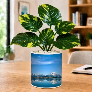 Artificial Tree Ceramic Photo Pot With White Stones 3x4 Inch (F164559) Artificial Tree Ceramic Photo Pot With White Stones 3x4 Inch (F164559)
